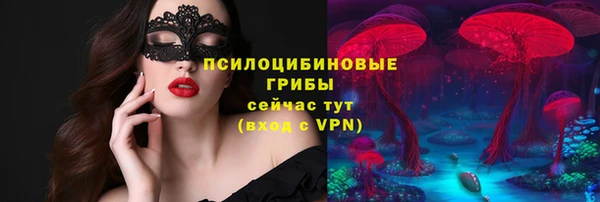 каннабис Арсеньев