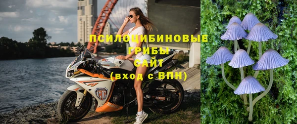 спайс Аркадак